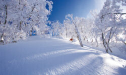 Nozawa Onsen