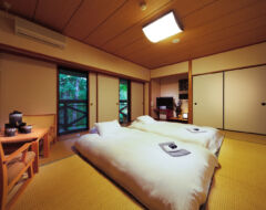 Superior Japanese Room