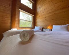 Twin / Queen Room