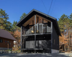 Image of Golden Bell Hakuba
