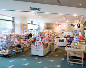 Appi Kogen Shopping