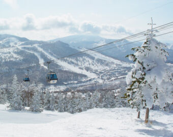 Shiga Kogen Getting Around