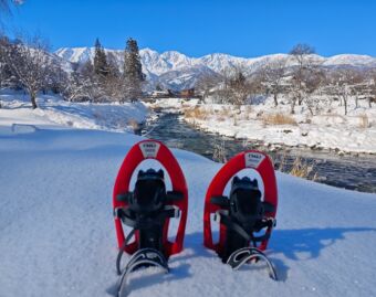 Snowshoe Tours
