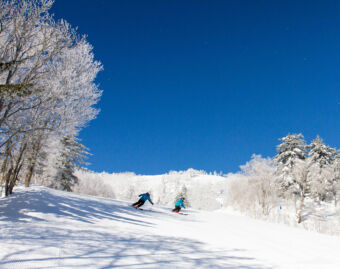 Ski & Board Lessons