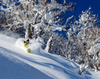 Ski & Board Rentals