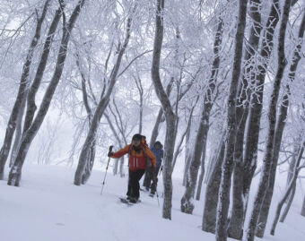 Snowshoe Tours