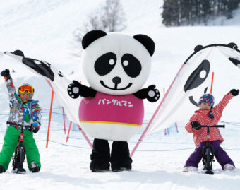 Ski & Board Lessons