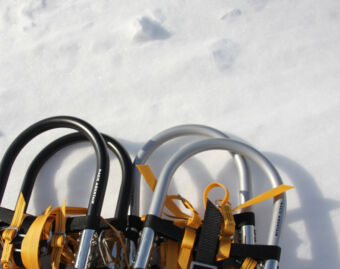 Snowshoe Tours