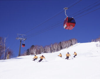 Ski & Board Lessons